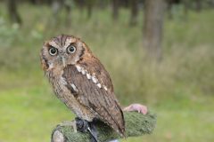 houthakkers feest 2014 lage vuursche