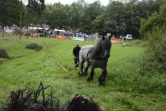 houthakkers feest 2014 lage vuursche