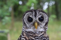 hothakkers feest 2015