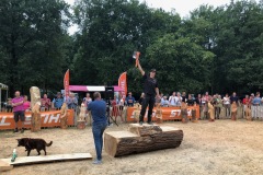 01727A8967F94654AAA383B45AC21961