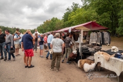 8B8B656D7AC34BC1AE569C9B18332E8E