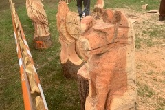 CB85D5DD9DB245C881C2008D31207803